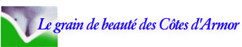 Binic, le grain de beaut&eacute; des C&ocirc;tes d'Armor