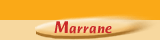 Marrane
